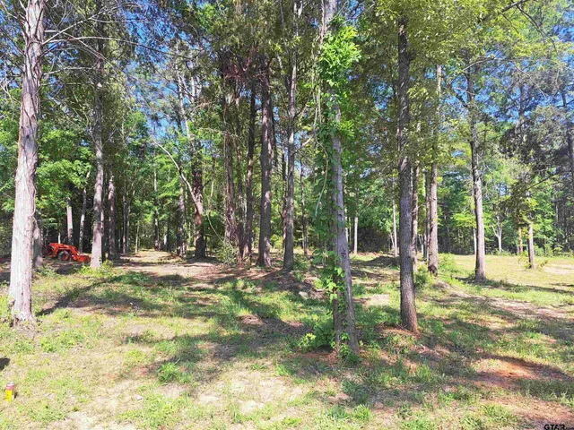 $565,000 | 12890 Cr 463 Tyler Tx 75706, Tyler, TX 75706