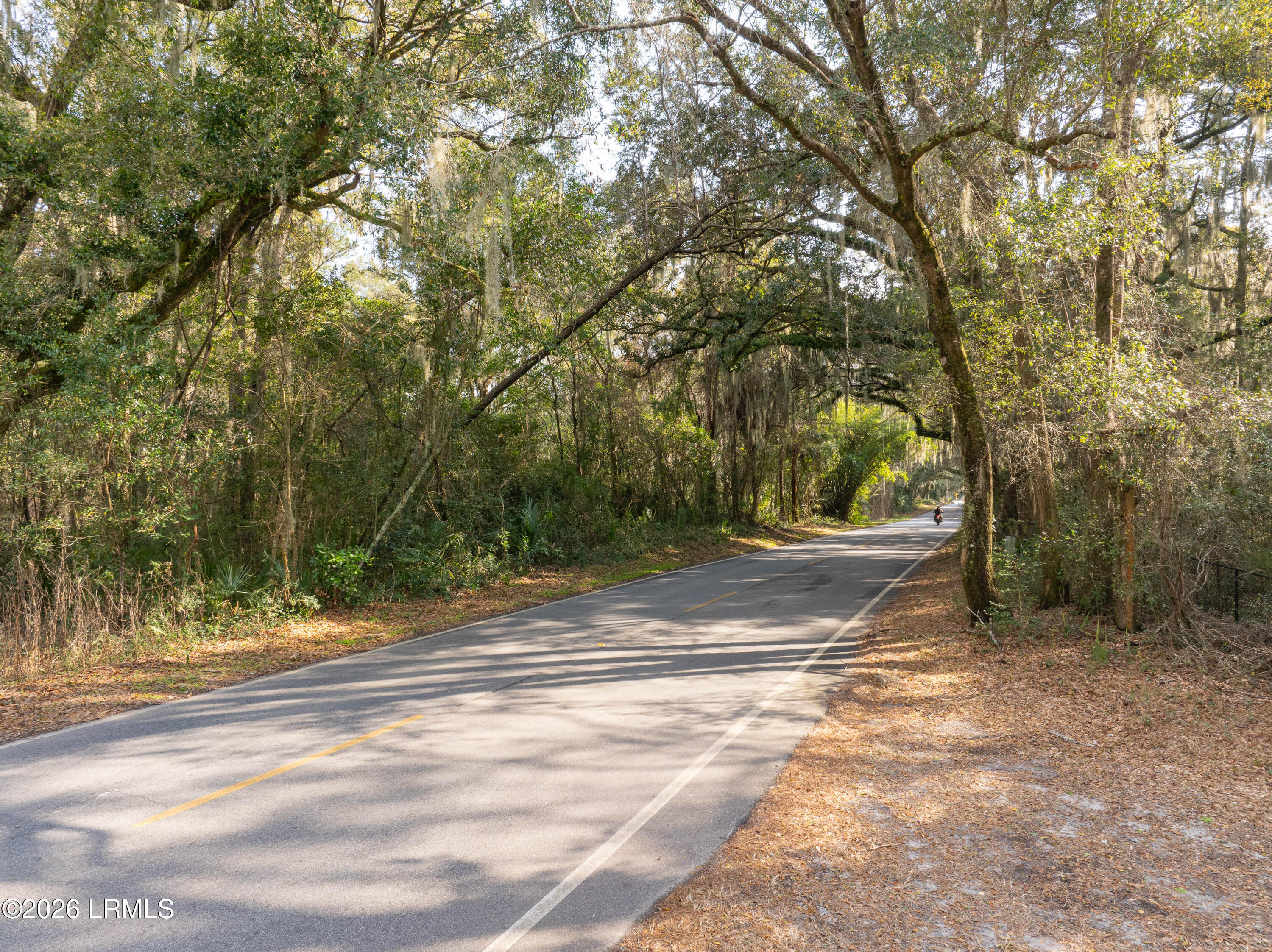 Tbd Meridian Road Beaufort, SC 29907 - Photo 2 of 11 Meridian Lot-2