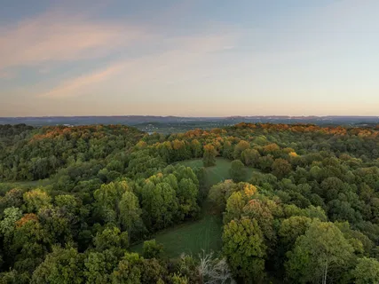 a view of outdoor space with trees all around