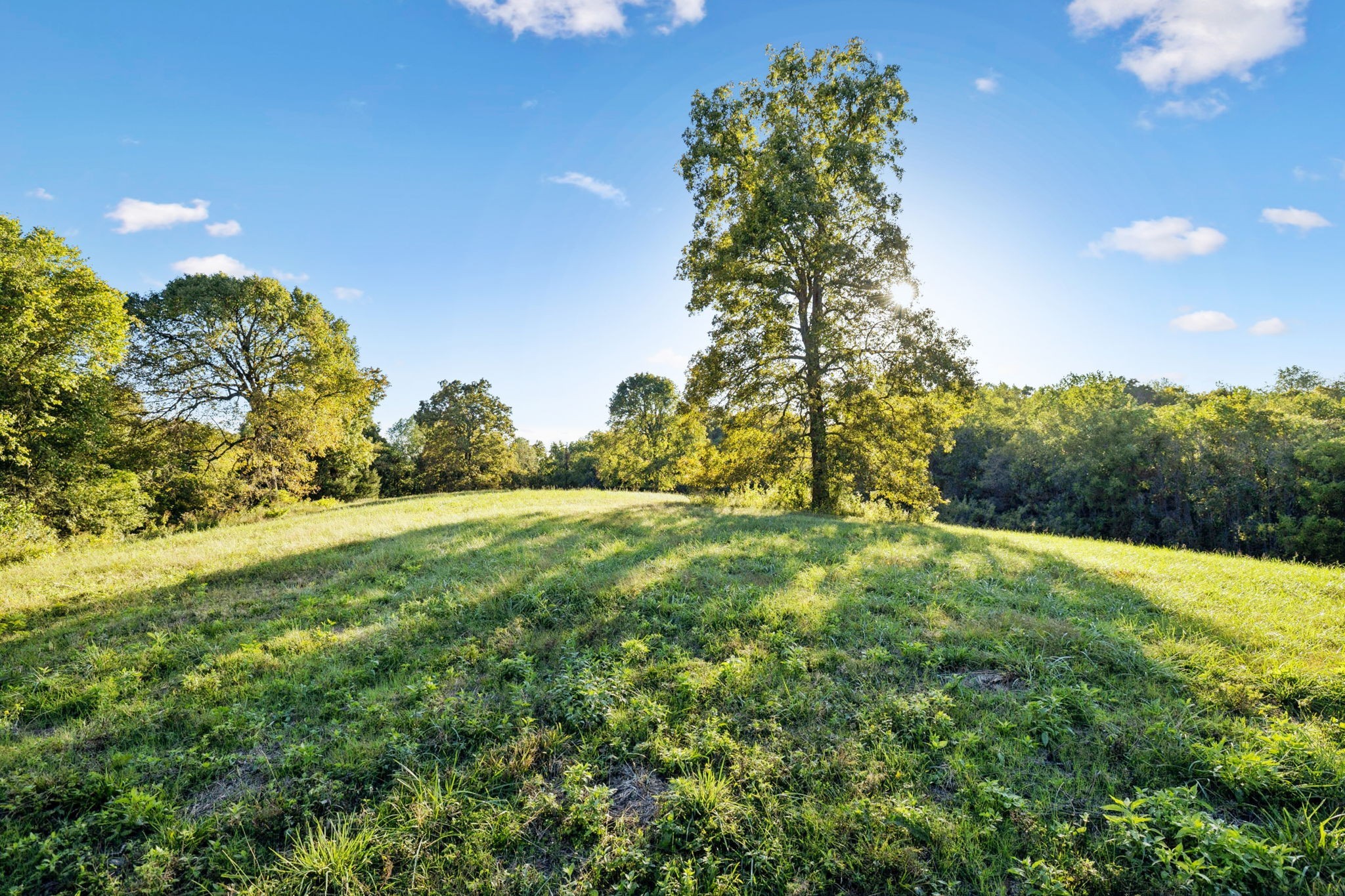 3148 Blazer Road Franklin, TN 37064 - Photo 27 of 67 a yard with a house in the background