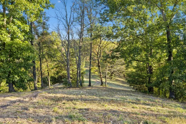 $8,900,000 | 3148 Blazer Road, Franklin, TN 37064
