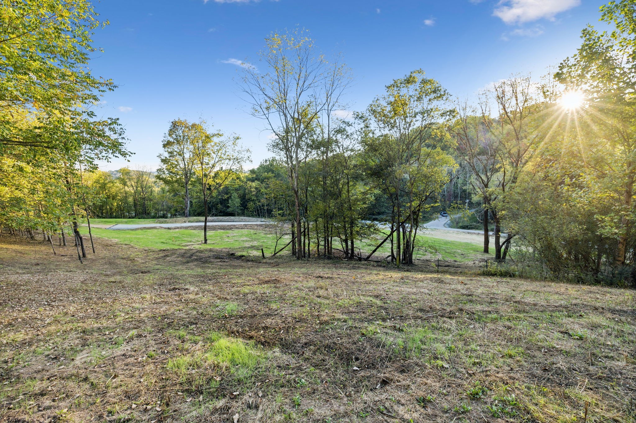 3148 Blazer Road Franklin, TN 37064 - Photo 31 of 67 a view of a yard with a tree
