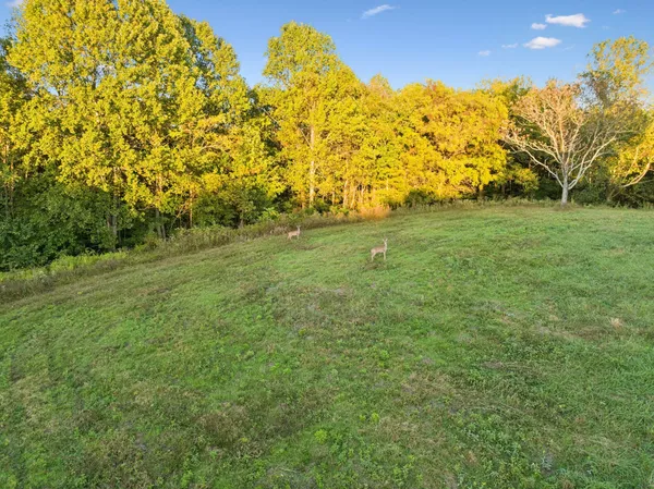$8,900,000 | 3148 Blazer Road, Franklin, TN 37064