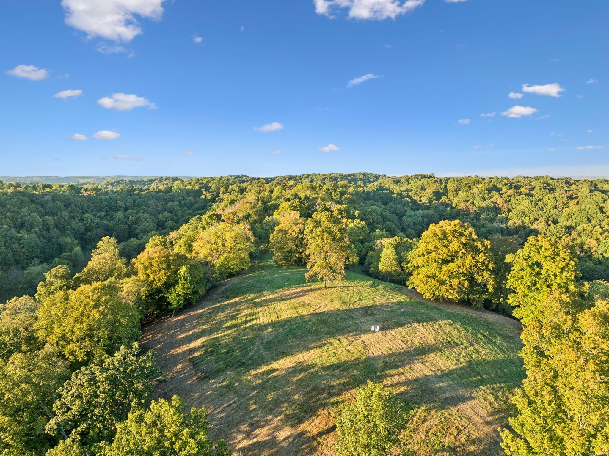 3148 Blazer Road Franklin, TN 37064 - Photo 39 of 67