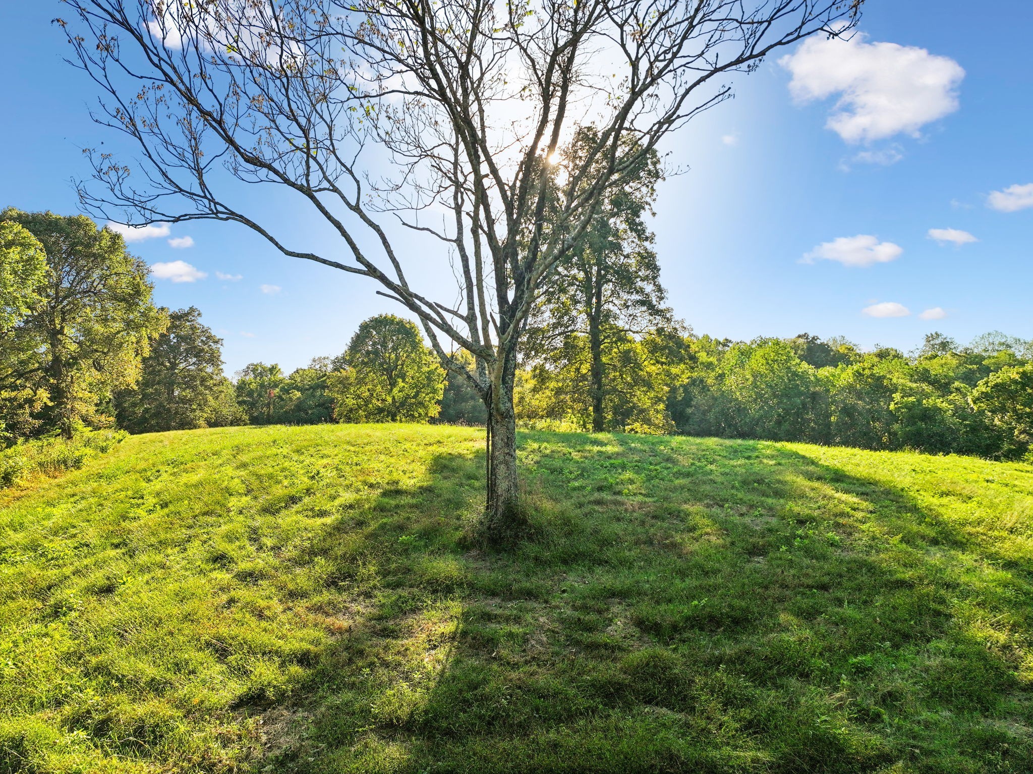 3148 Blazer Road Franklin, TN 37064 - Photo 40 of 67 a view of an outdoor space and a yard