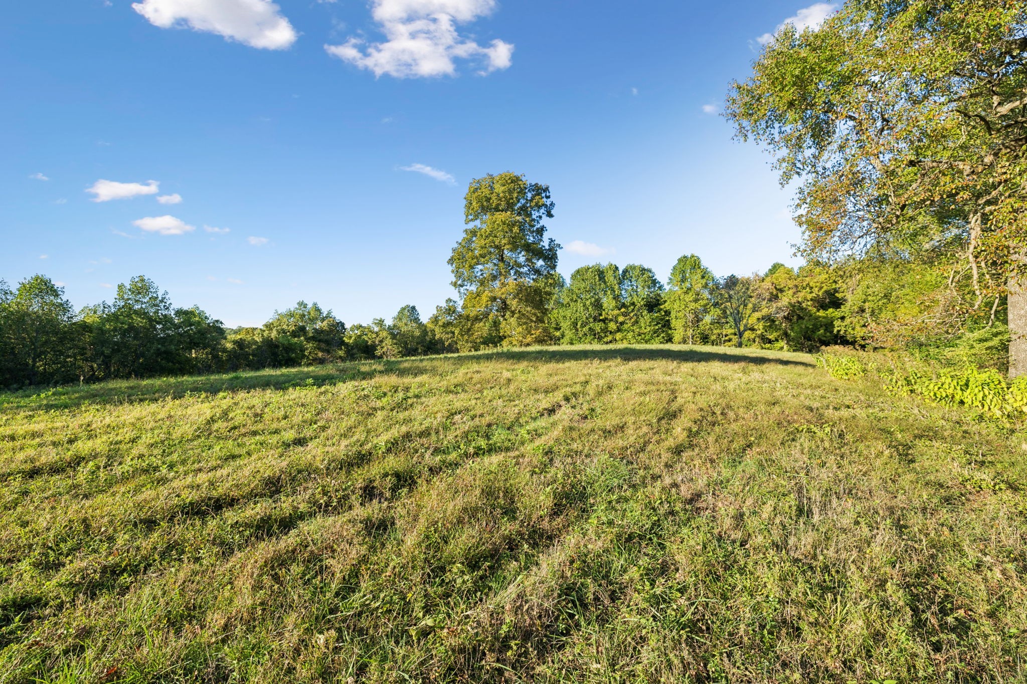 3148 Blazer Road Franklin, TN 37064 - Photo 54 of 67 a view of a yard with an outdoor space