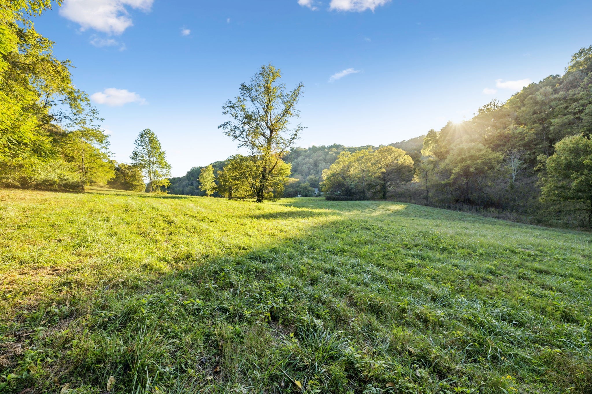 3148 Blazer Road Franklin, TN 37064 - Photo 8 of 67