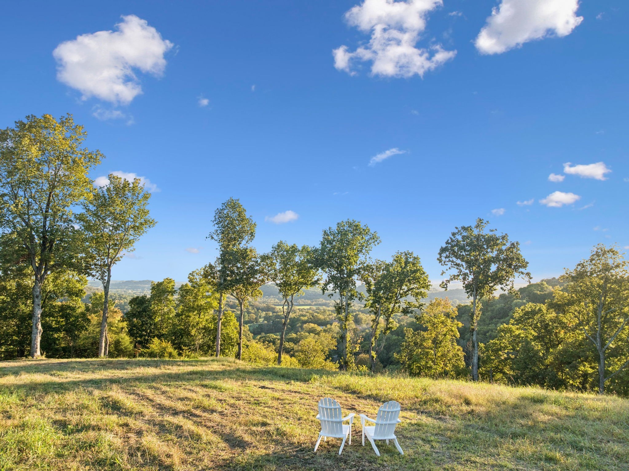 3148 Blazer Road Franklin, TN 37064 - Photo 9 of 67 a view of a yard