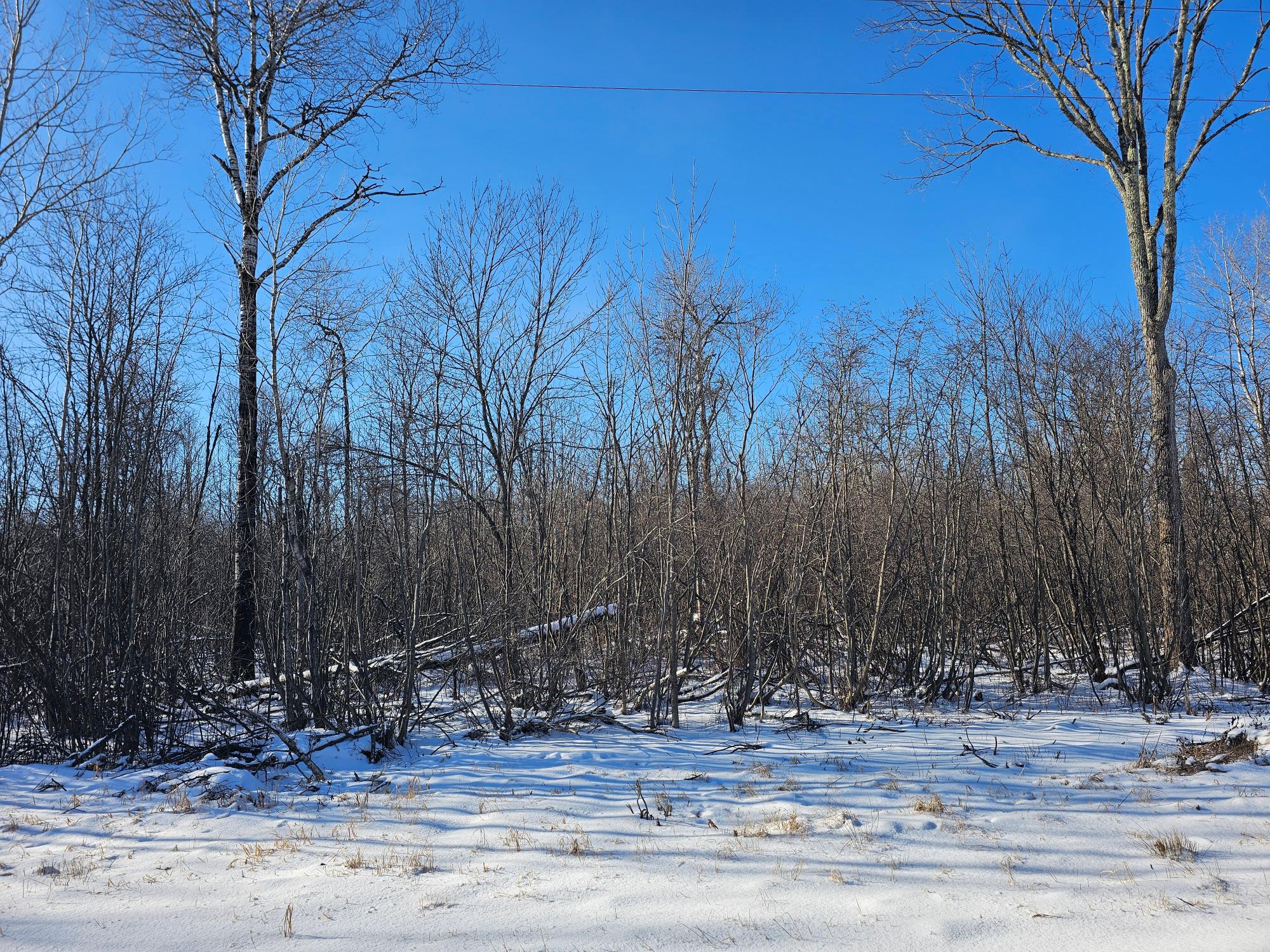 On Faust Road Tomahawk, WI 54487 - Photo 3 of 10 Gallery Image 3