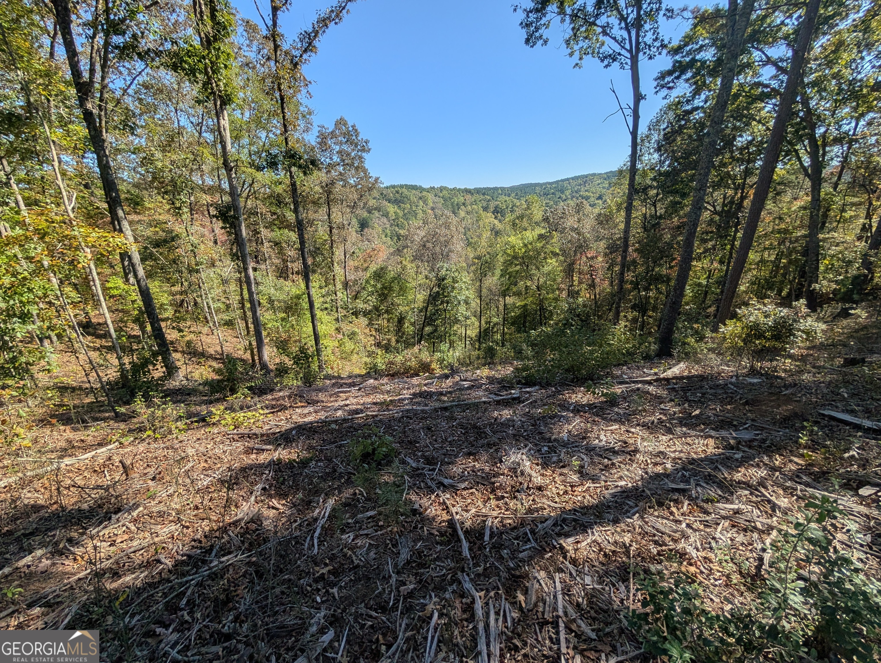 Lot 296 Pebble Trace Talking Rock, GA 30175 - Photo 11 of 26
