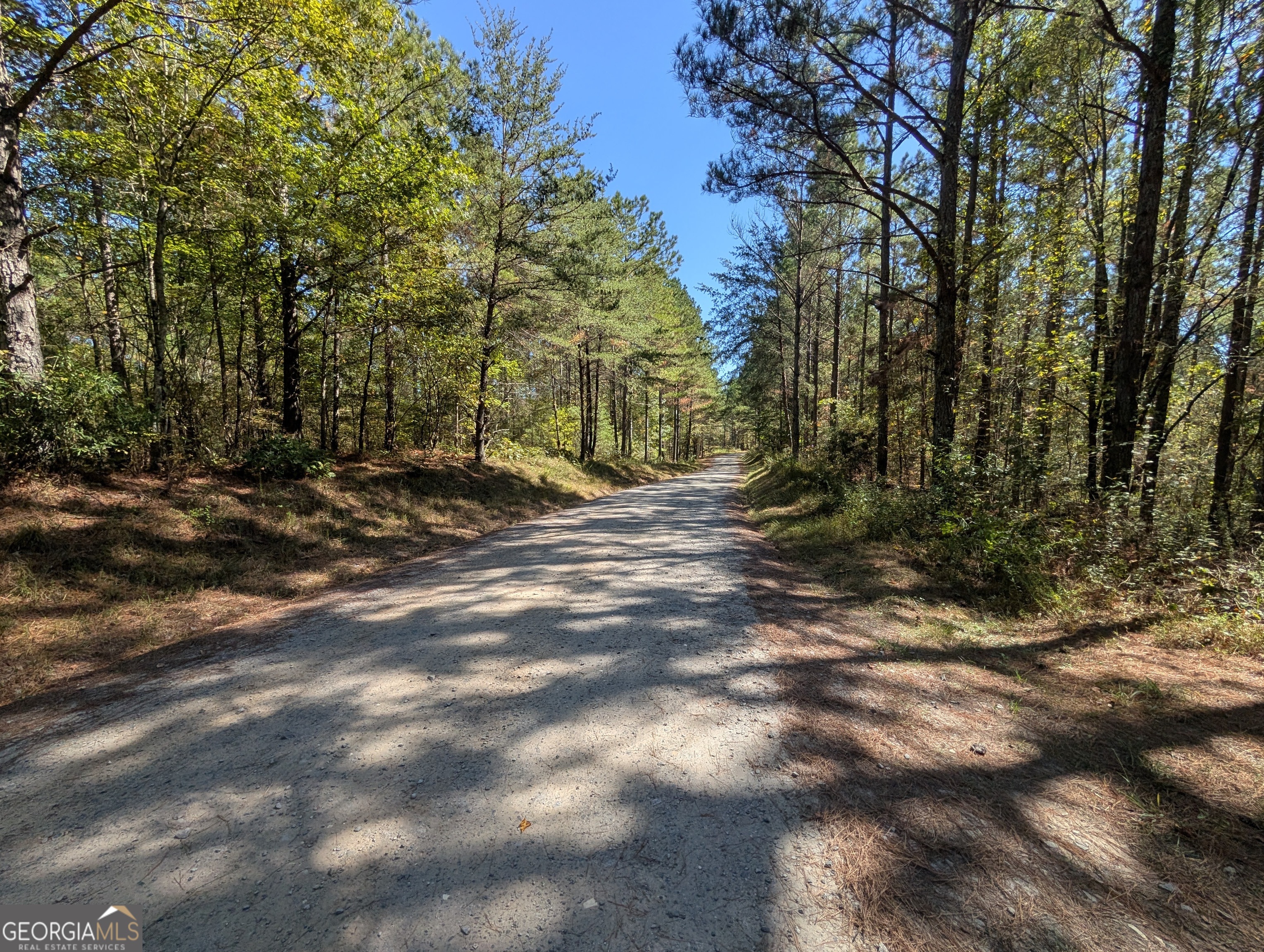 Lot 296 Pebble Trace Talking Rock, GA 30175 - Photo 12 of 26