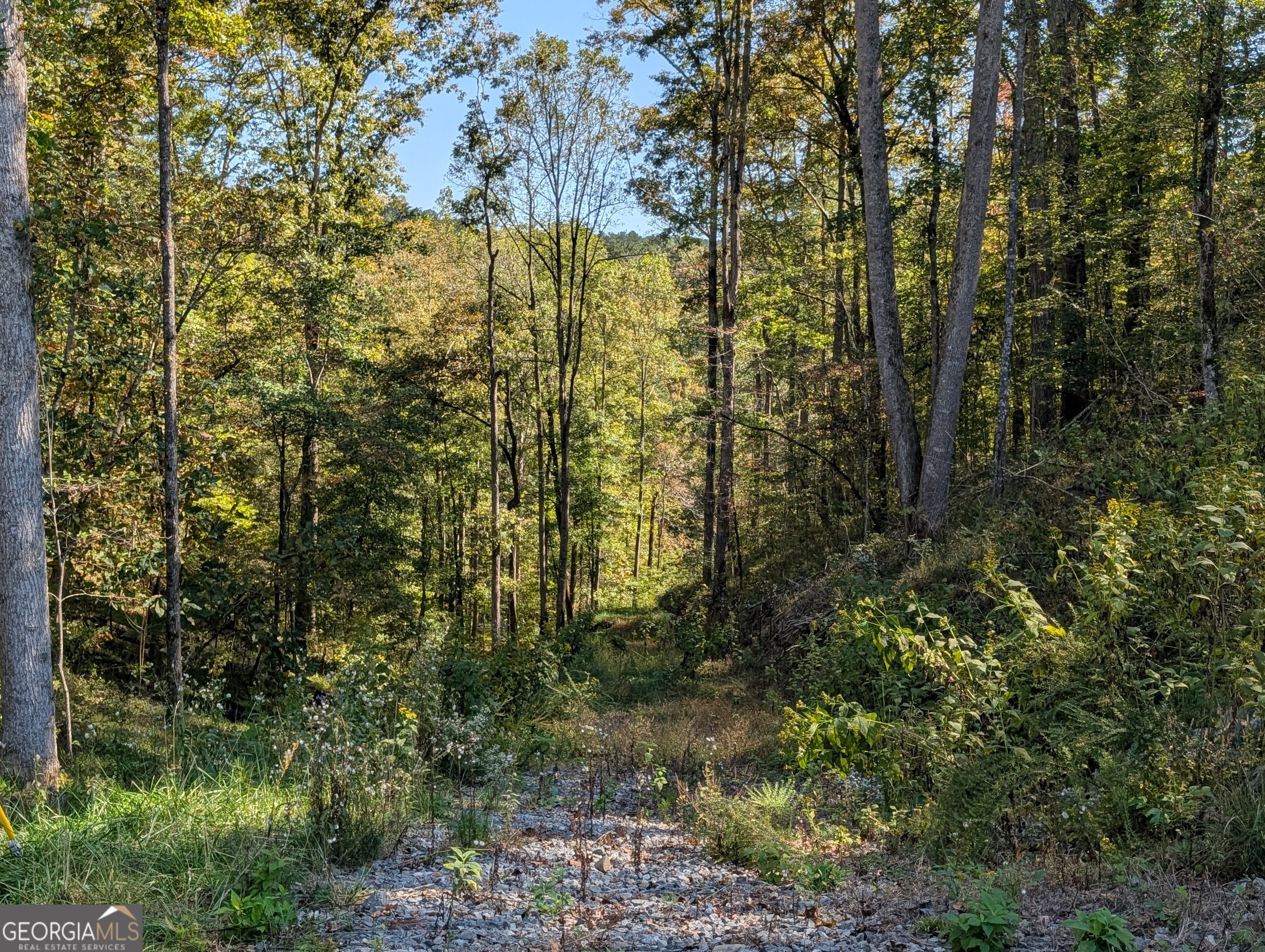Lot 296 Pebble Trace Talking Rock, GA 30175 - Photo 2 of 26
