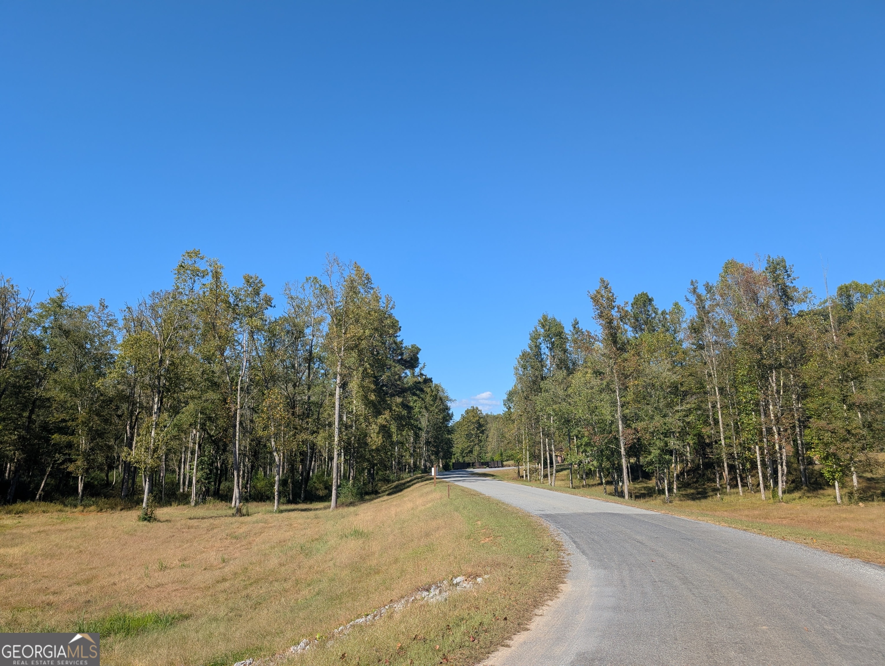 Lot 296 Pebble Trace Talking Rock, GA 30175 - Photo 26 of 26