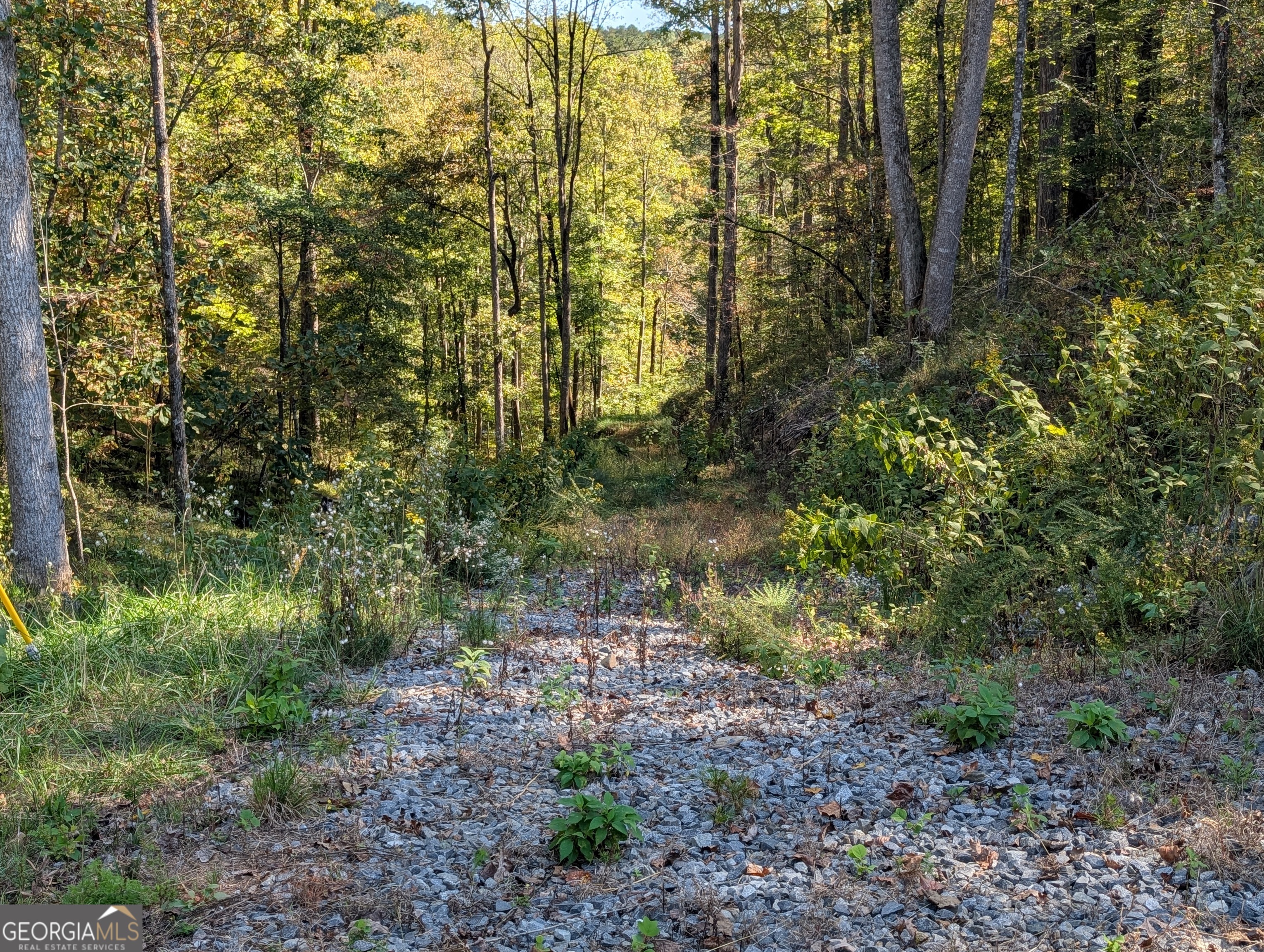 Lot 296 Pebble Trace Talking Rock, GA 30175 - Photo 3 of 26