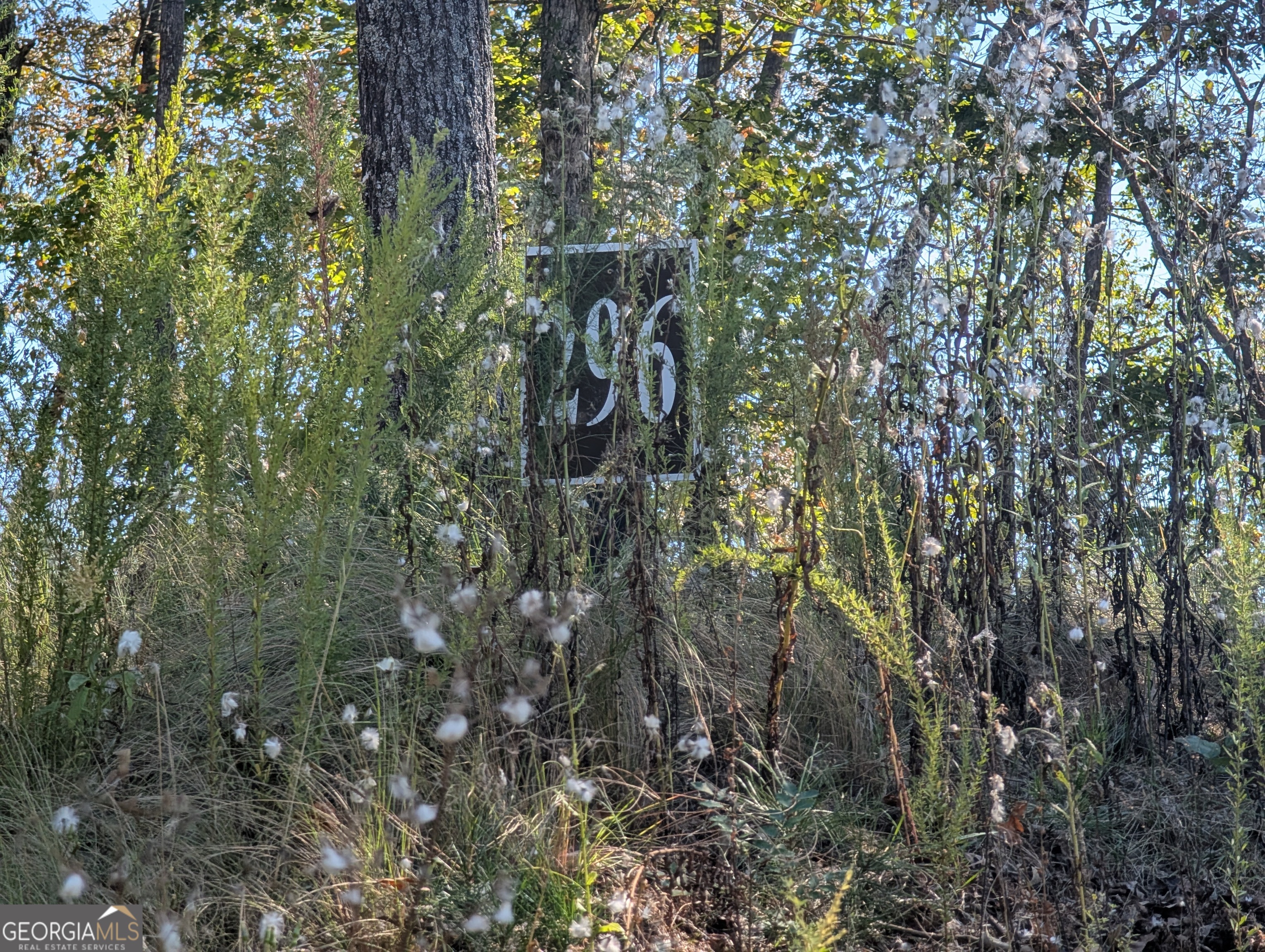 Lot 296 Pebble Trace Talking Rock, GA 30175 - Photo 4 of 26