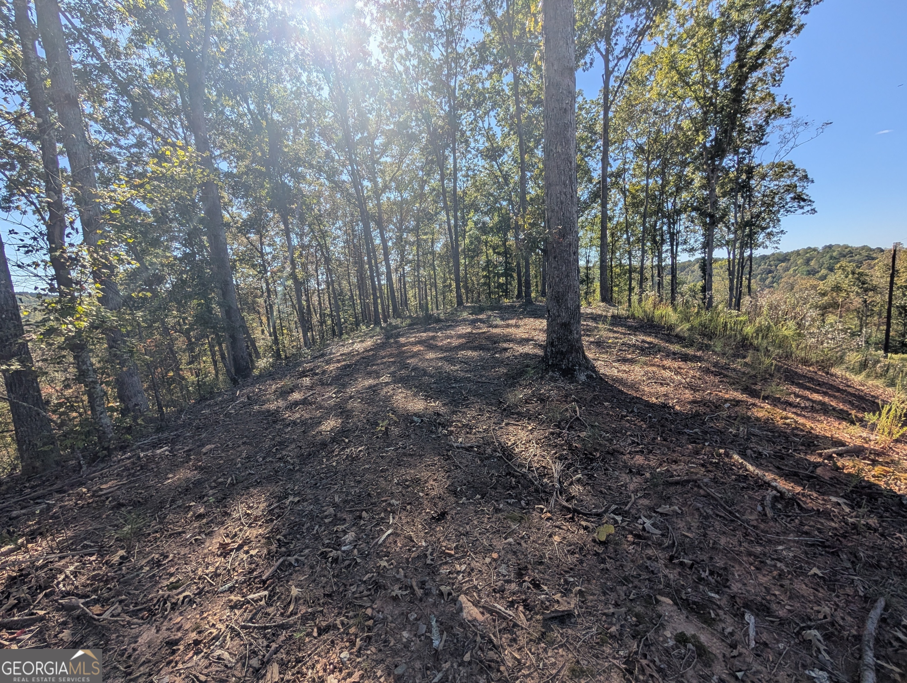 Lot 296 Pebble Trace Talking Rock, GA 30175 - Photo 5 of 26