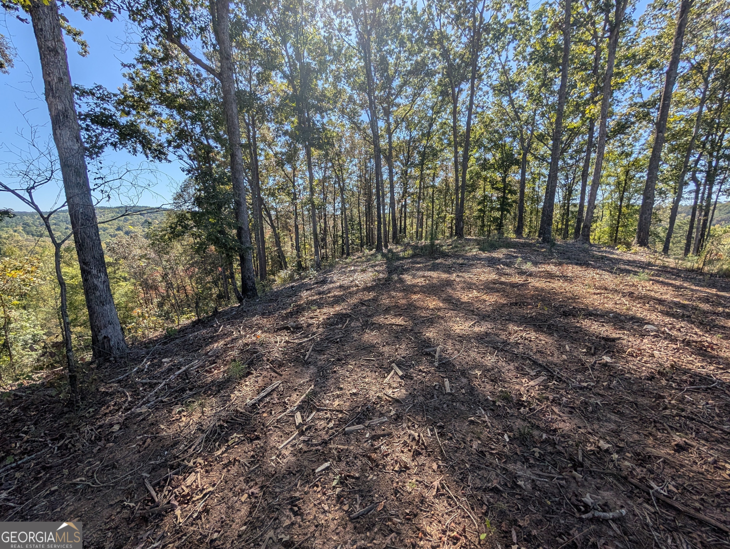 Lot 296 Pebble Trace Talking Rock, GA 30175 - Photo 6 of 26