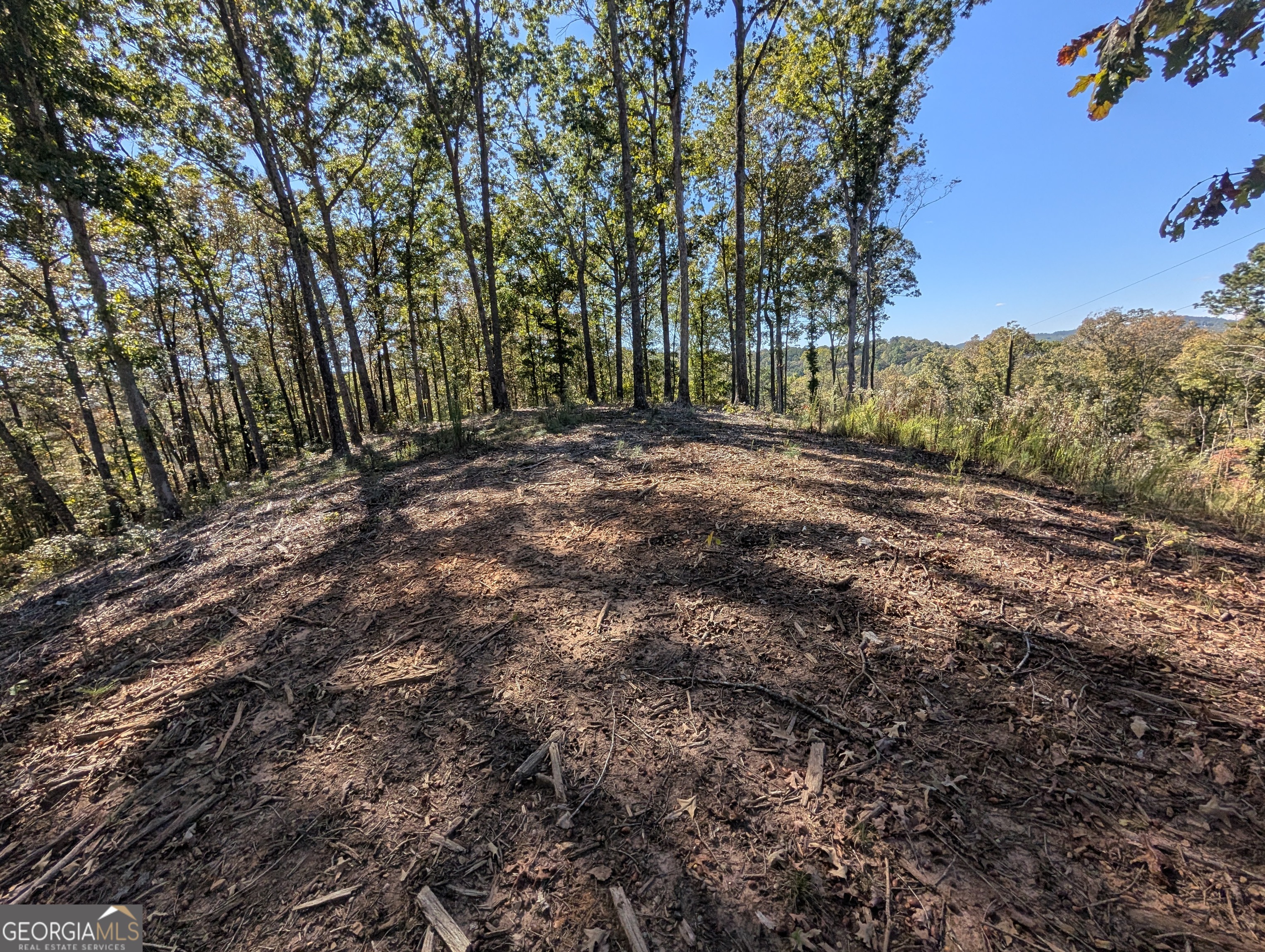 Lot 296 Pebble Trace Talking Rock, GA 30175 - Photo 7 of 26