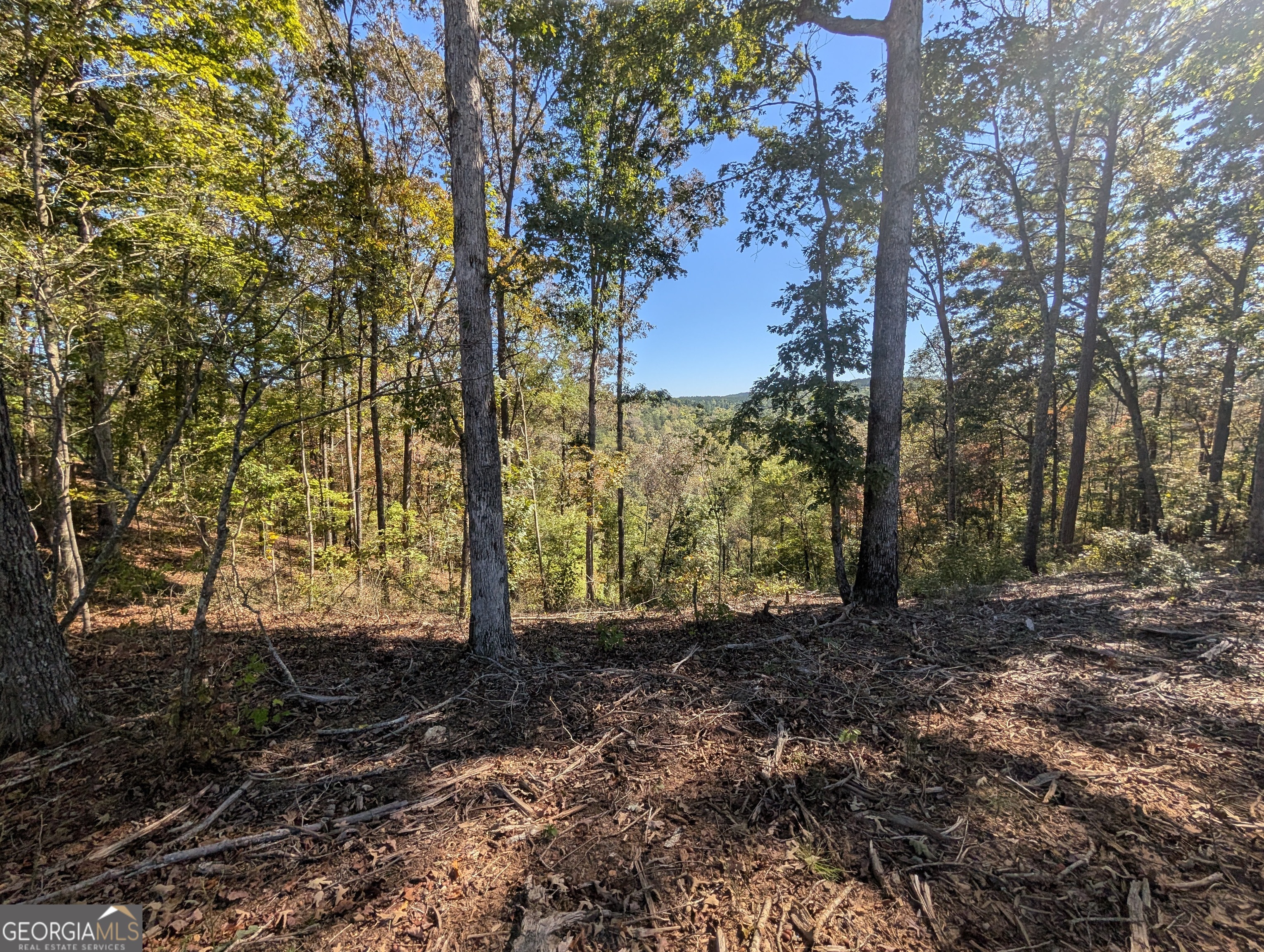 Lot 296 Pebble Trace Talking Rock, GA 30175 - Photo 8 of 26