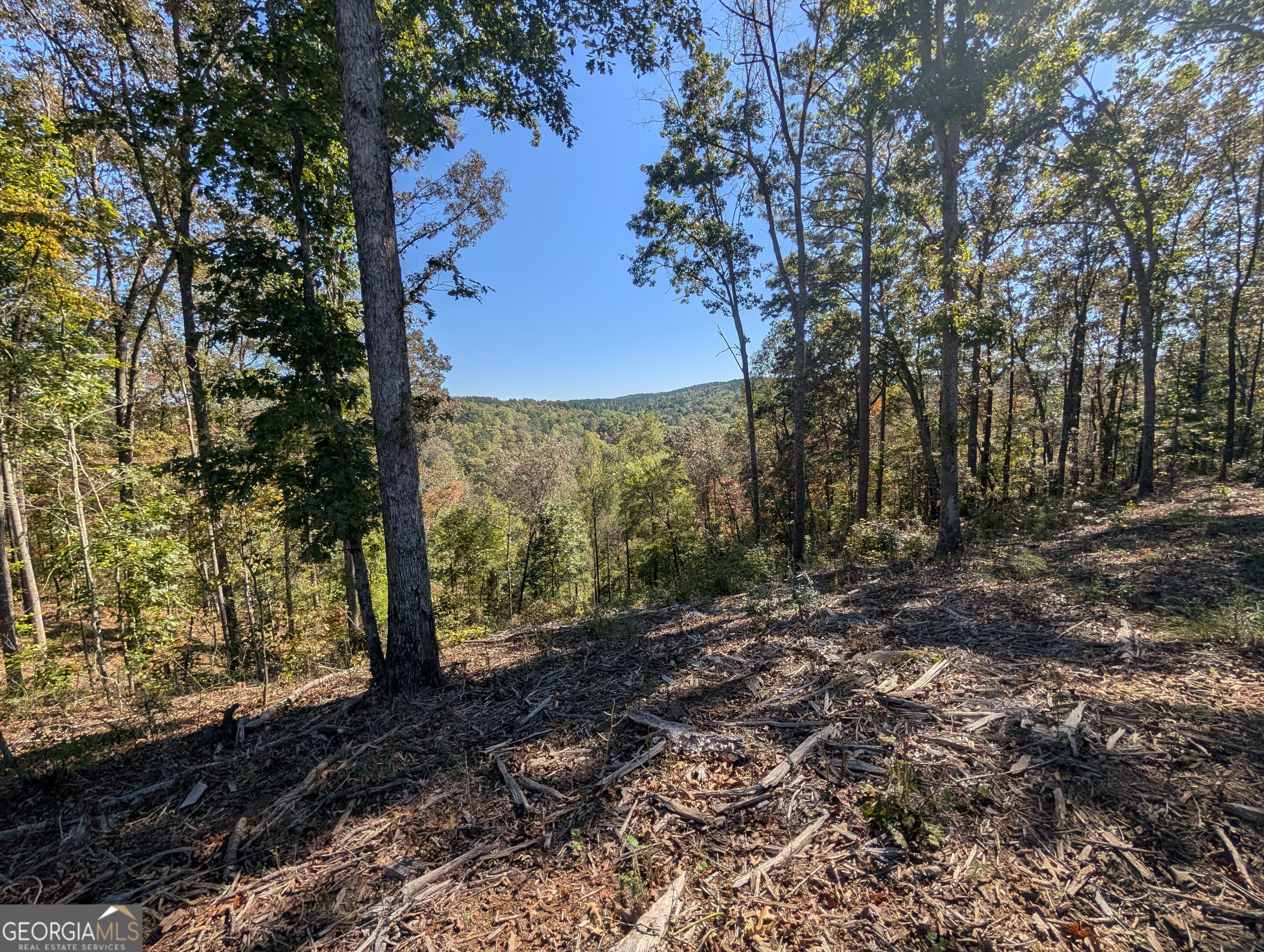 Lot 296 Pebble Trace Talking Rock, GA 30175 - Photo 9 of 26