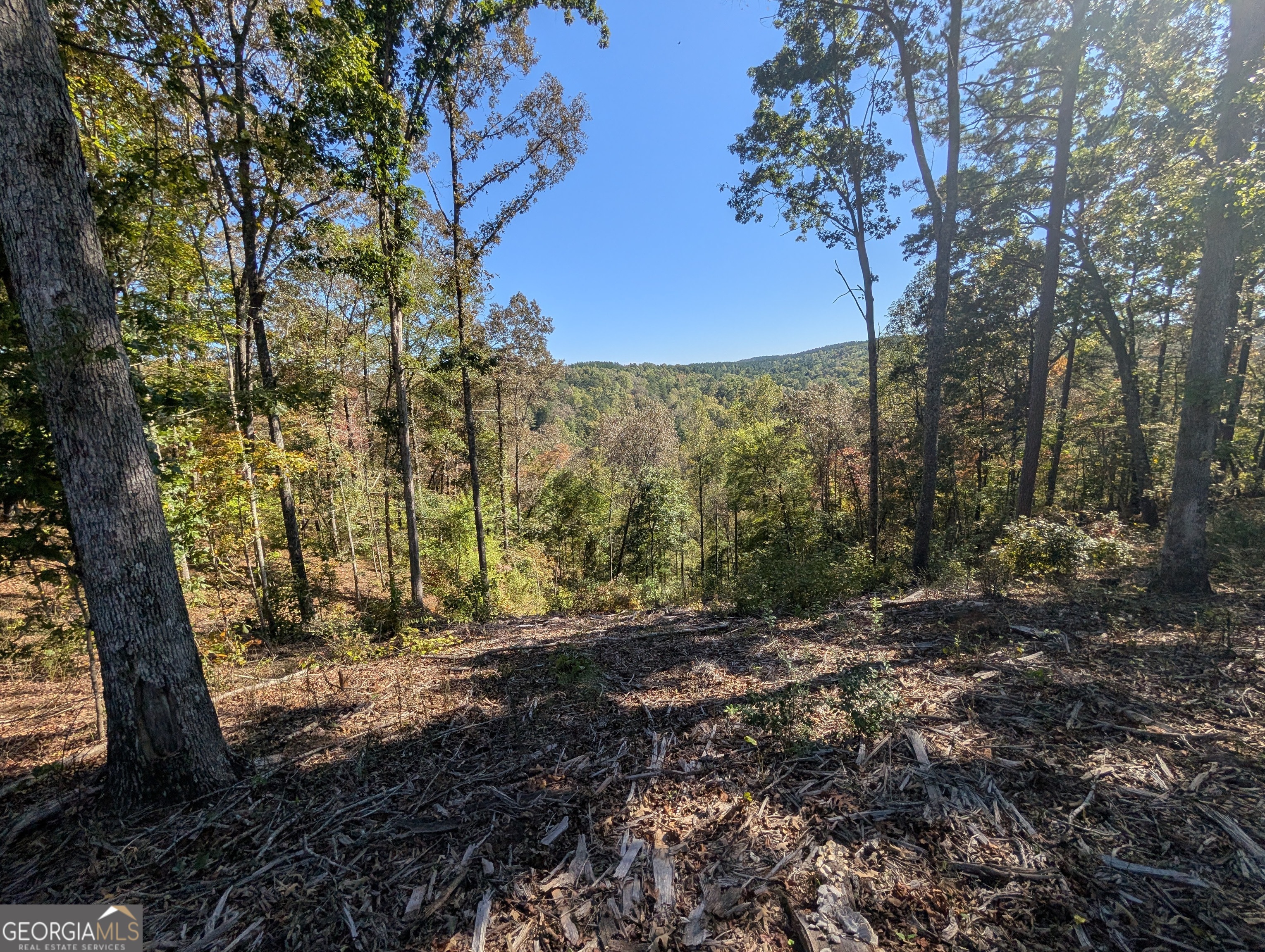 Lot 296 Pebble Trace Talking Rock, GA 30175 - Photo 10 of 26