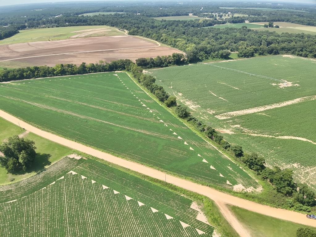 2.3-acres Burdeshaw Road Dothan, AL 36301 - Photo 1 of 7