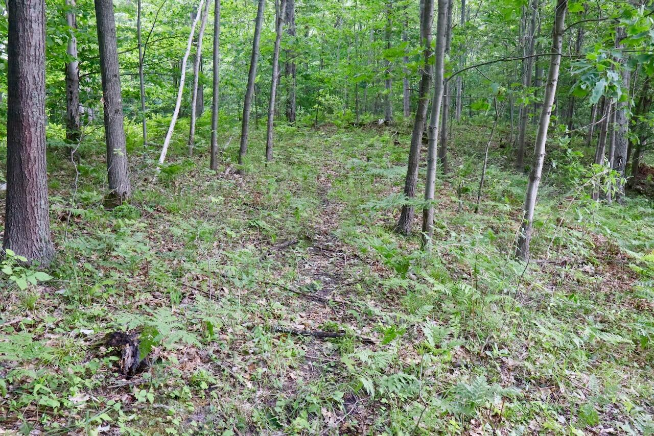 6182 Hamilton Road Harrison, MI 48625 - Photo 33 of 77