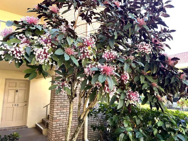 $224,900 | 5580 Tamberlane Circle, Unit 235, Palm Beach Gardens, FL 33418