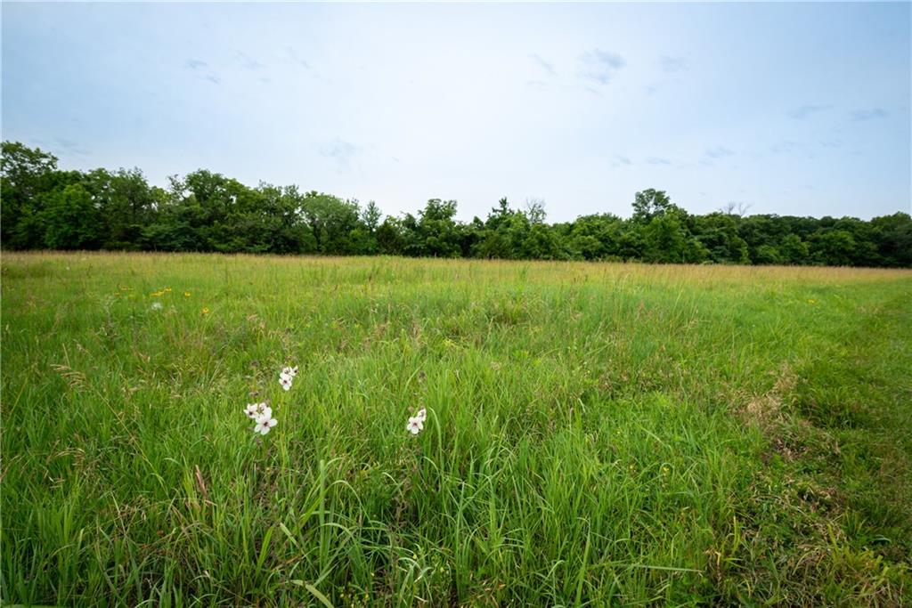 34664 Spring Valley Road Paola, KS 66071 - Photo 12 of 82 Gallery Image 12