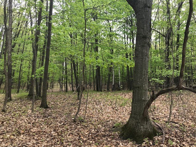 Island View Road Fish Creek, WI 54212 - Photo 12 of 13