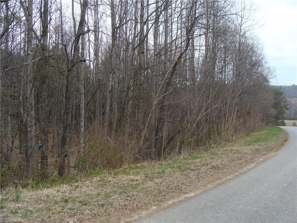 0 Wayne Marshall Road Elkin, NC 28621 - Photo 1 of 4 Gallery Image 1