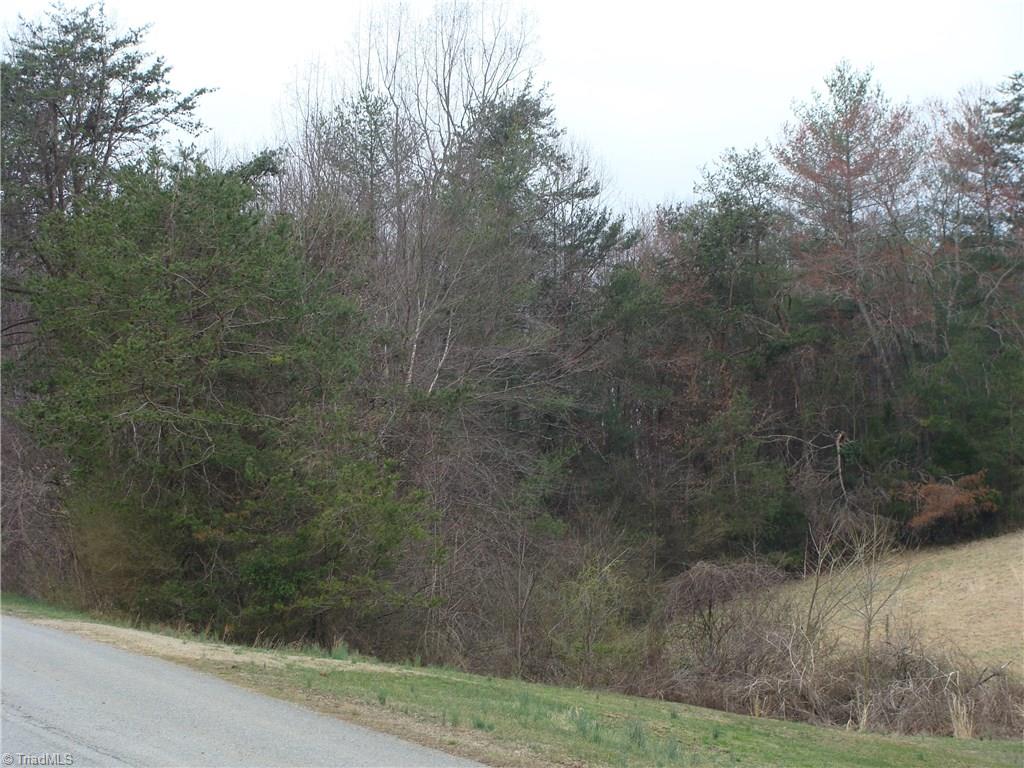 0 Wayne Marshall Road Elkin, NC 28621 - Photo 3 of 4 Gallery Image 3