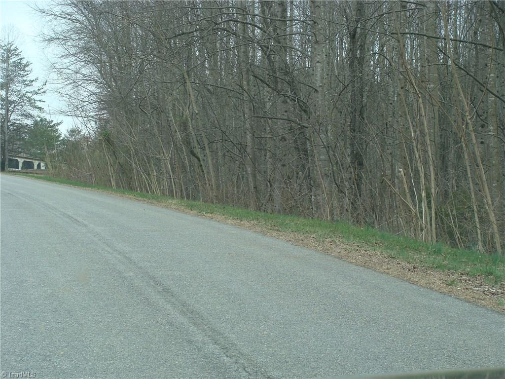 0 Wayne Marshall Road Elkin, NC 28621 - Photo 4 of 4 Gallery Image 4