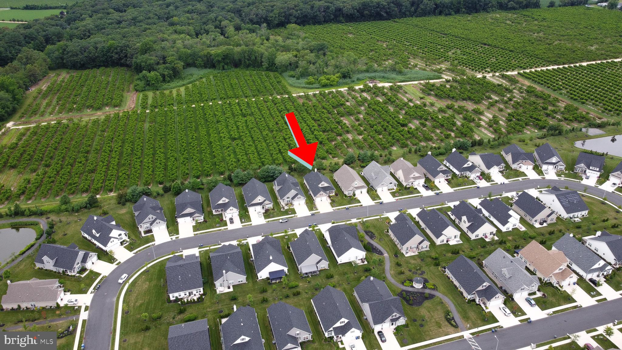 126 Field Loop Glassboro, NJ 08028 - Photo 39 of 40 Gallery Image 39