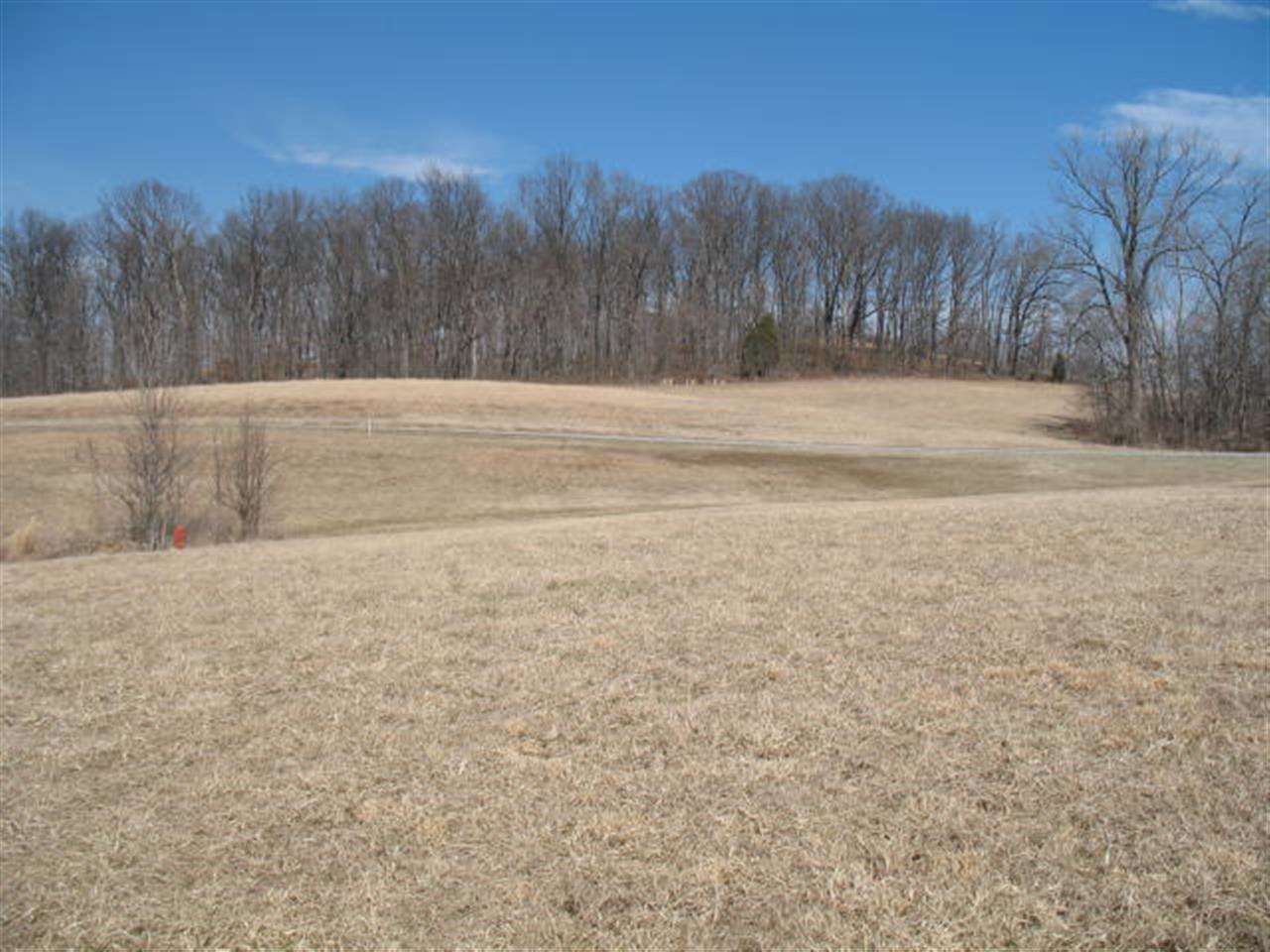 0 Stone Tell City, IN 47586 - Photo 1 of 3 Gallery Image 1