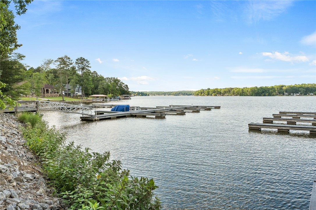 103 Free Bridge Court Hodges, SC 29653 - Photo 14 of 20 Community Dock