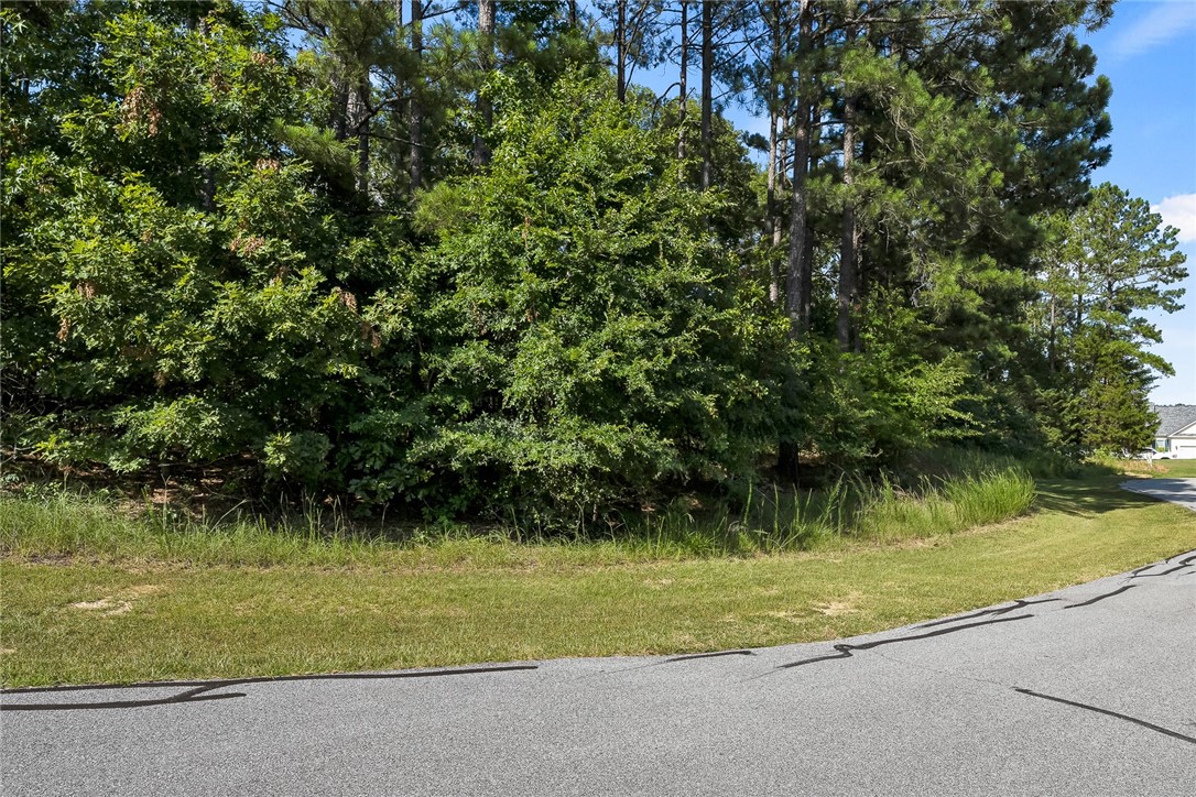 103 Free Bridge Court Hodges, SC 29653 - Photo 4 of 20 Lot Road Frontage