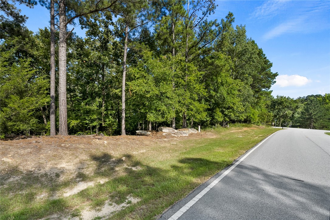 103 Free Bridge Court Hodges, SC 29653 - Photo 5 of 20 Lot Road Frontage