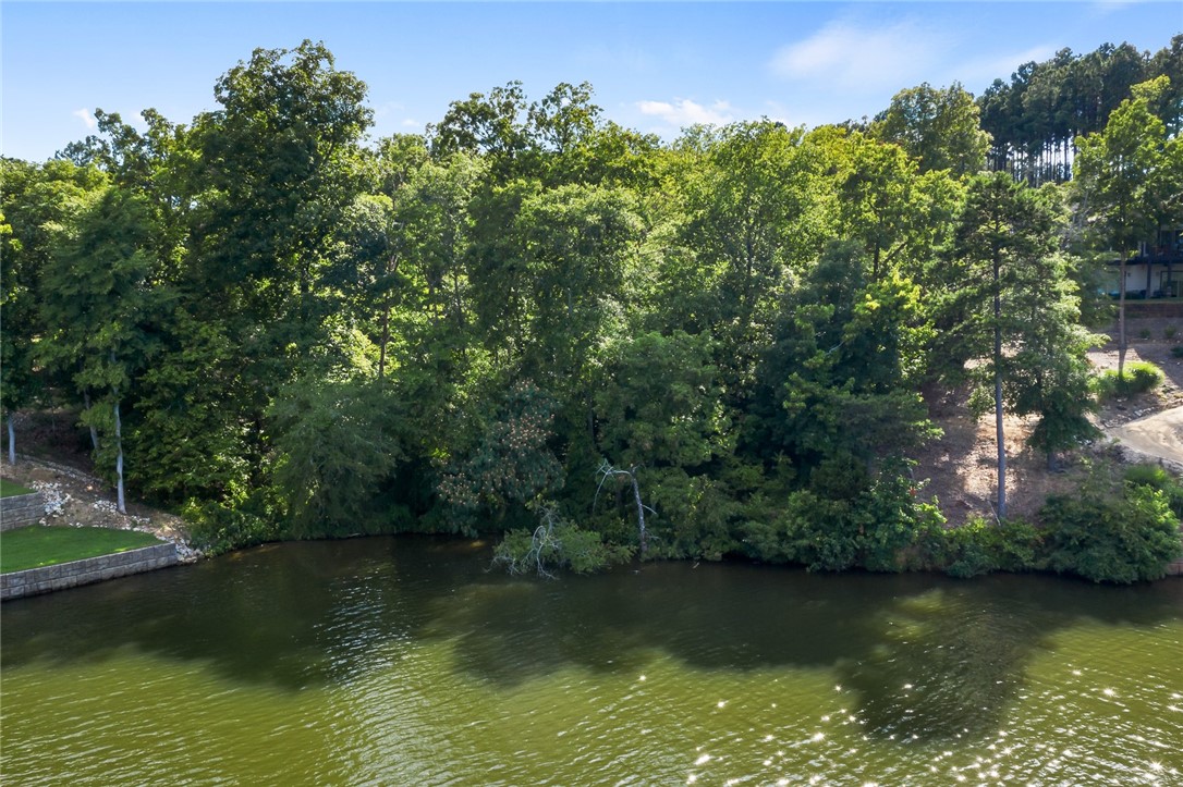 103 Free Bridge Court Hodges, SC 29653 - Photo 10 of 20 172' Water Frontage