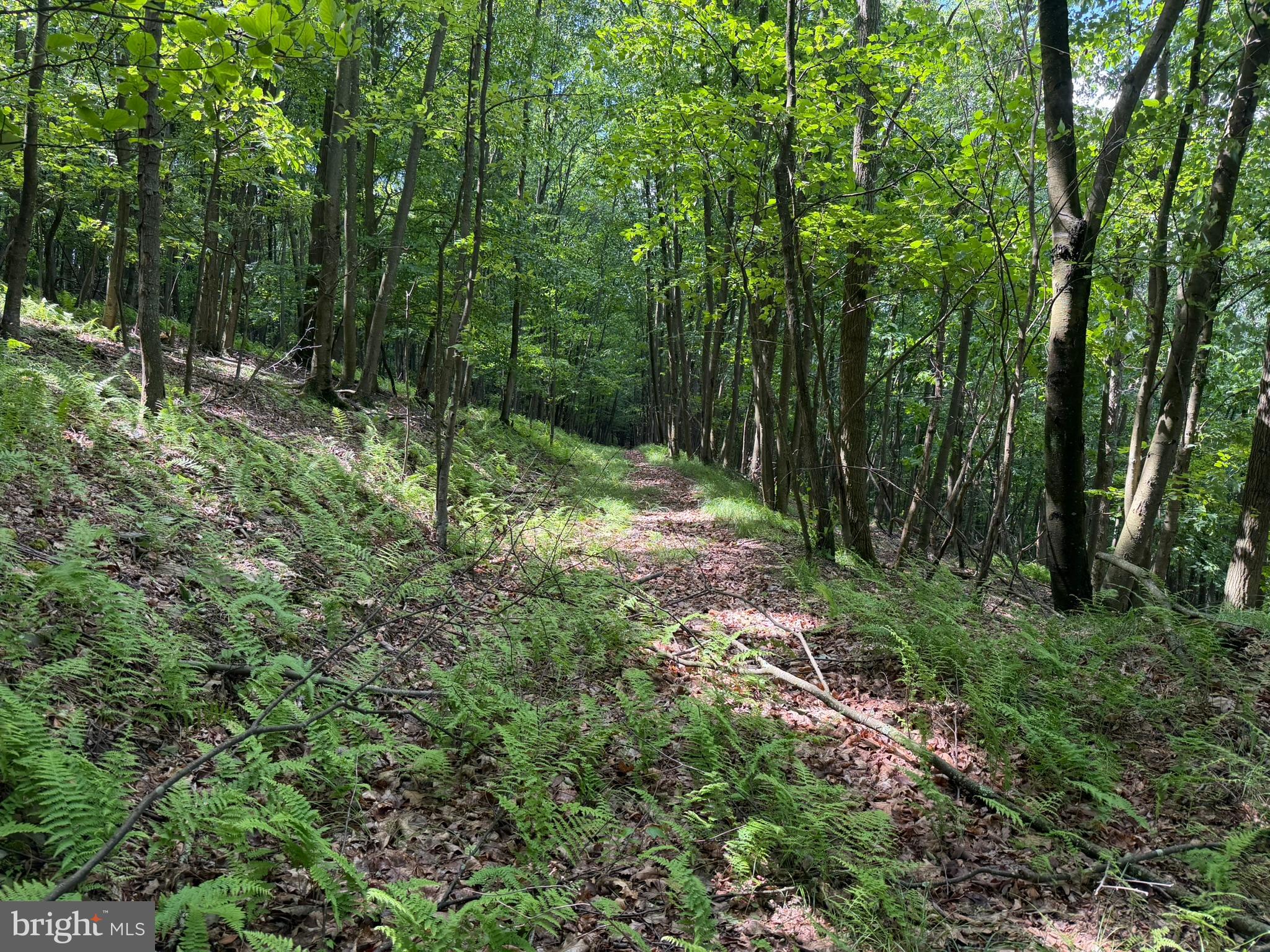 848 Sugar Camp Road Clearfield, PA 16830 - Photo 116 of 118