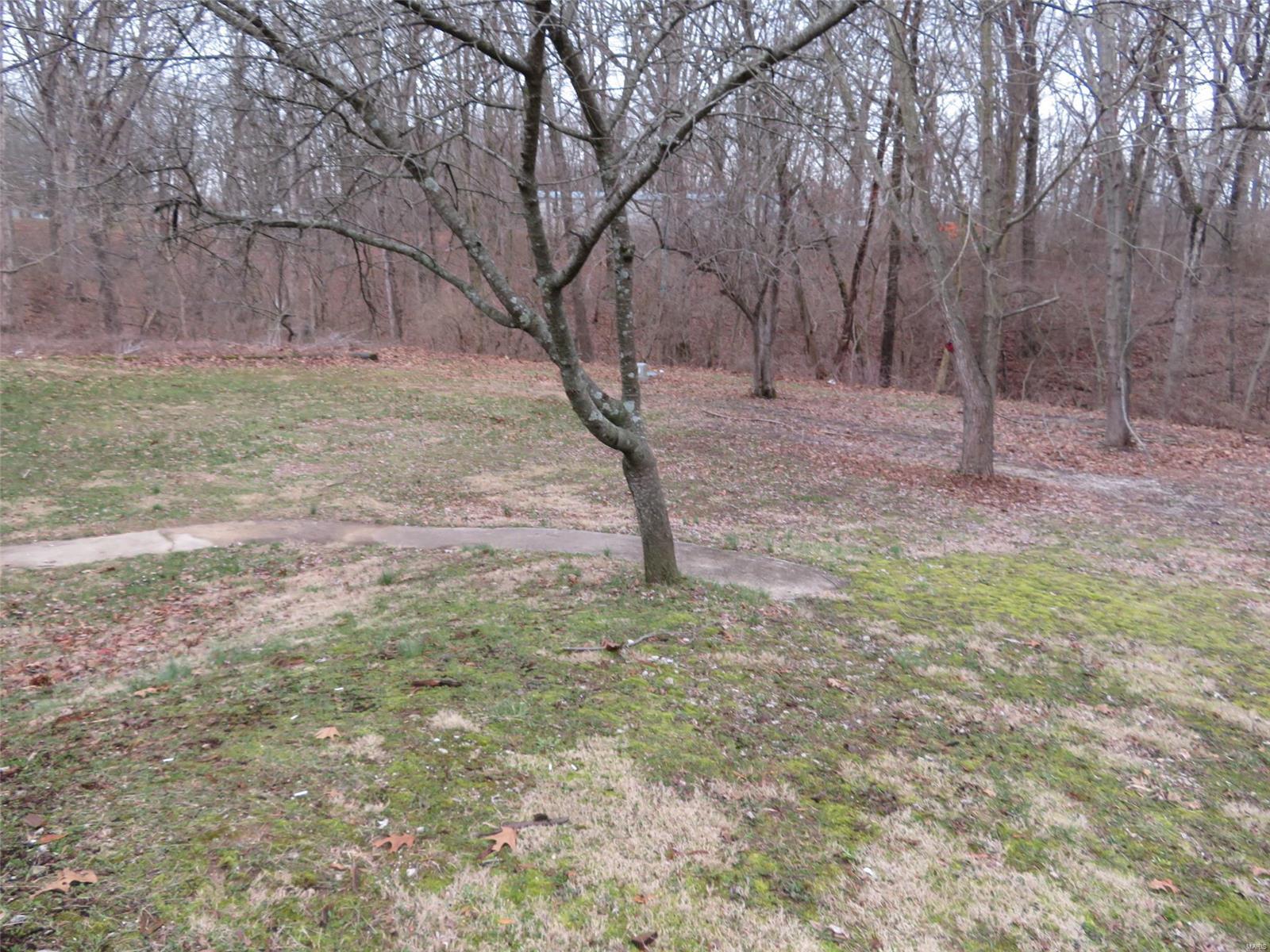 1205 Old Ripley Road Sorento, IL 62086 - Photo 11 of 53