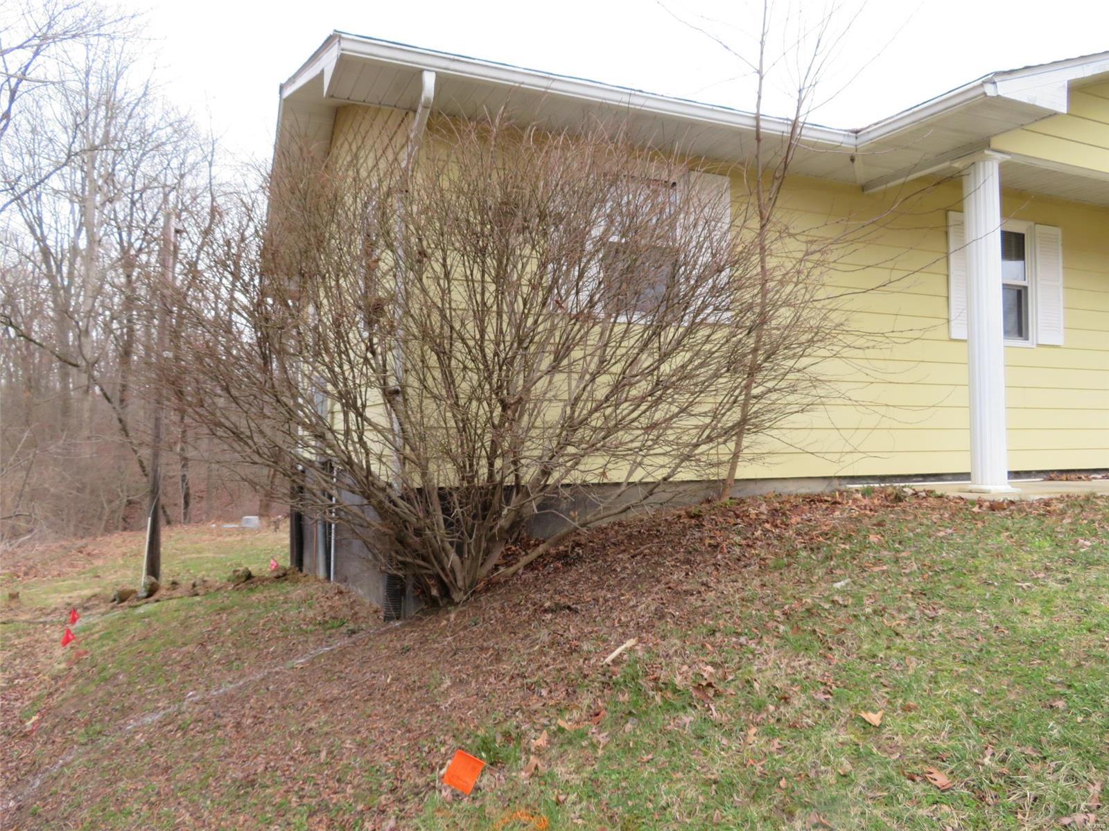 1205 Old Ripley Road Sorento, IL 62086 - Photo 17 of 53