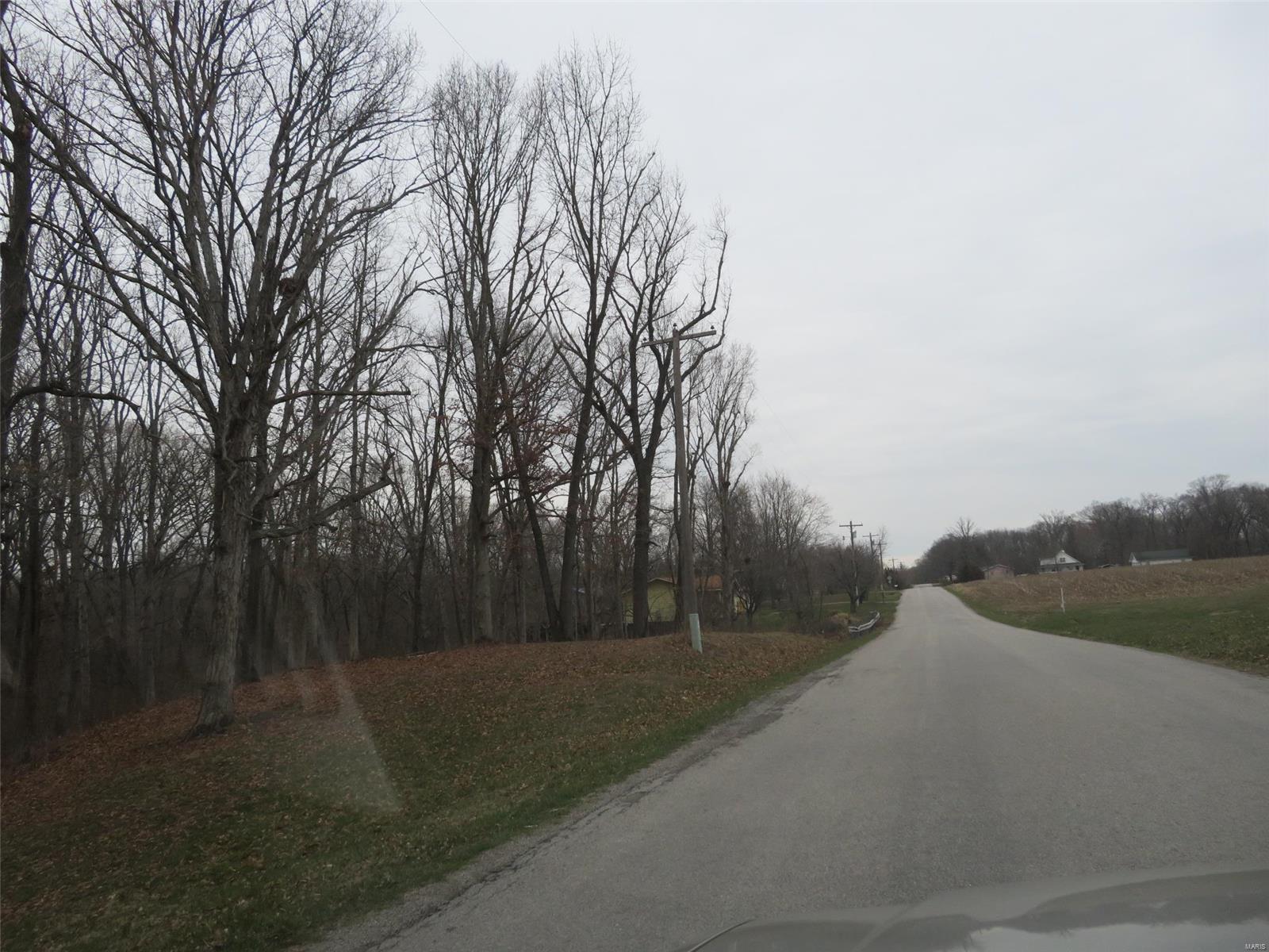 1205 Old Ripley Road Sorento, IL 62086 - Photo 9 of 53