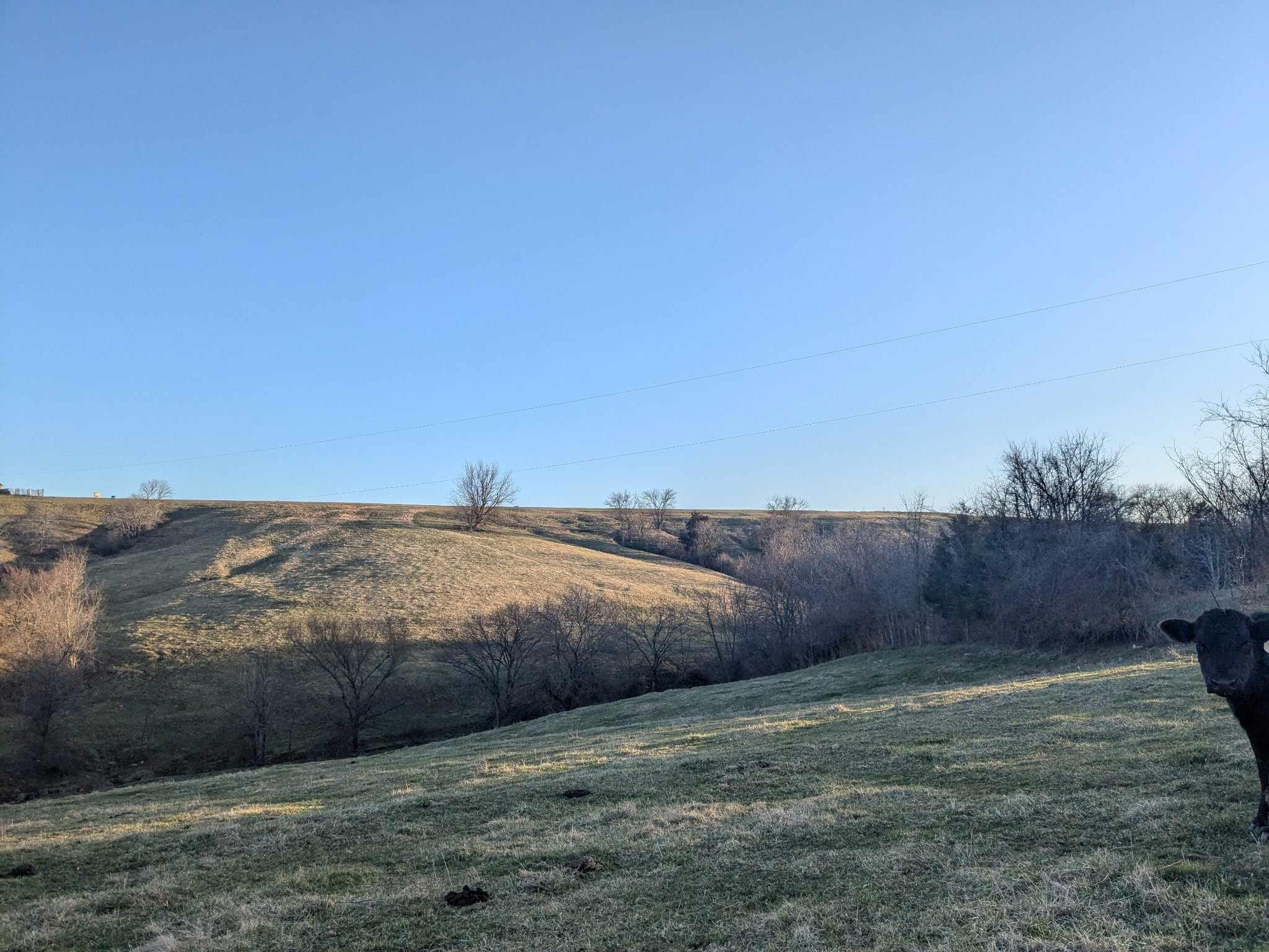 4861 Turley Road Mount Sterling, KY 40353 - Photo 2 of 4 484102278_625535513664276_25533671273700