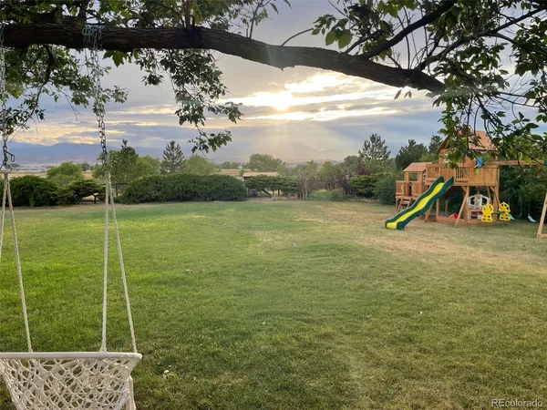a view of a field with a tree
