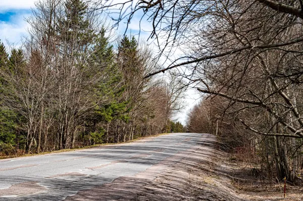 $64,900 | Spear Hill Road, Ellenburg Depot, NY 12935