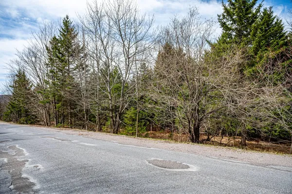 $64,900 | Spear Hill Road, Ellenburg Depot, NY 12935