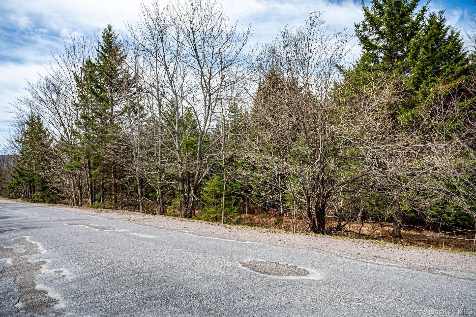 Spear Hill Road Ellenburg Depot, NY 12935 - Photo 2 of 11 a view of a road with a trees