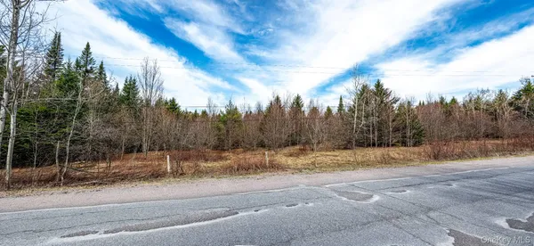 $64,900 | Spear Hill Road, Ellenburg Depot, NY 12935