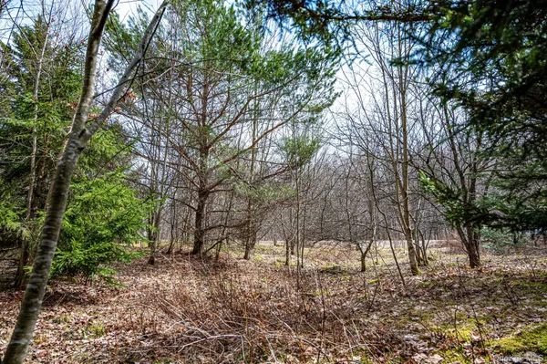 $64,900 | Spear Hill Road, Ellenburg Depot, NY 12935